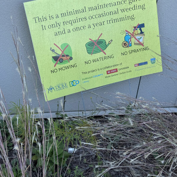Closeup of the building exterior with a sign saying, this is a minimal maintenance garden. It only requires occasional weeding and a once a year trimming.