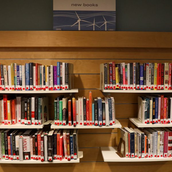 Shelves of books under a sign saying "new books"
