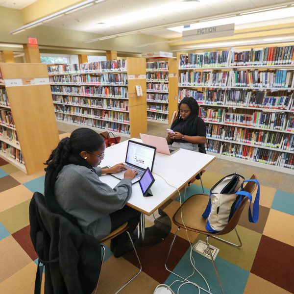 Two people use laptops at a table surrounded by bookshelves