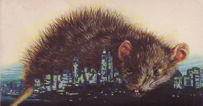 A Godzilla-sized rat curled menacingly around a city skyline.