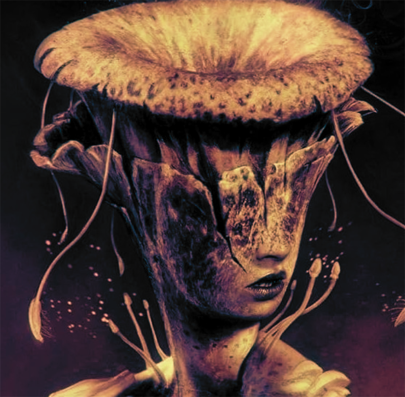A human / fungus hybrid with a mushroom-like top half of the head morphing into a nose, mouth, and chin on the bottom half. Spores are floating around.