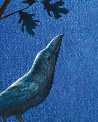 An illustration of a black bird peering up toward a tree's overhanging leaves against a dusky blue sky.