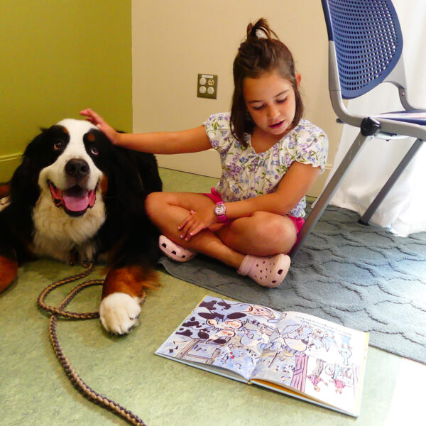 A child with light skin and brown hair sits next to a St. Bernard dog. She pets him with one hand while reading a picture book to him.